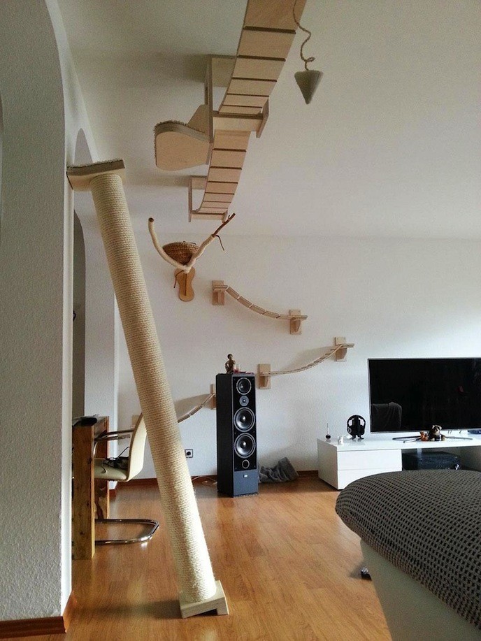 http://www.demotivateur.fr/images-buzz/02cat-playground.jpg