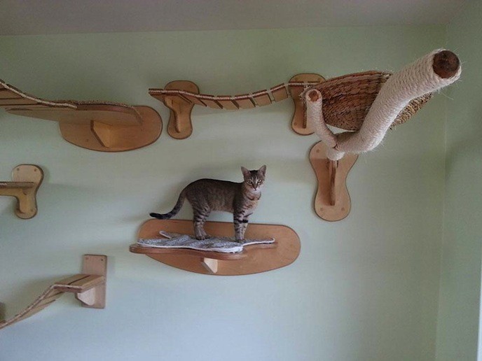 http://www.demotivateur.fr/images-buzz/03cat-playground.jpg