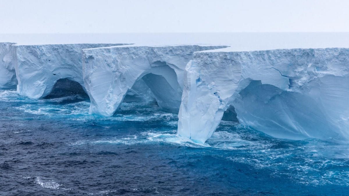 Un iceberg qui fait 33 fois la taille de Paris fonce sur une île britannique, menaçant sa faune d'une catastrophe inévitable