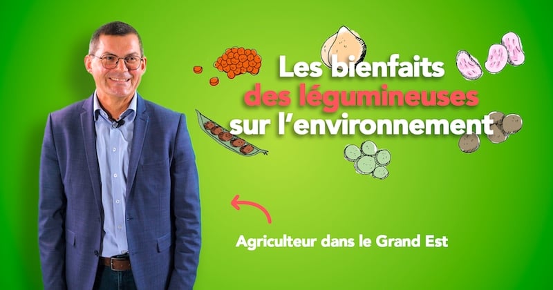 Les légumineuses, c'est délicieux et c'est bon pour la planète !