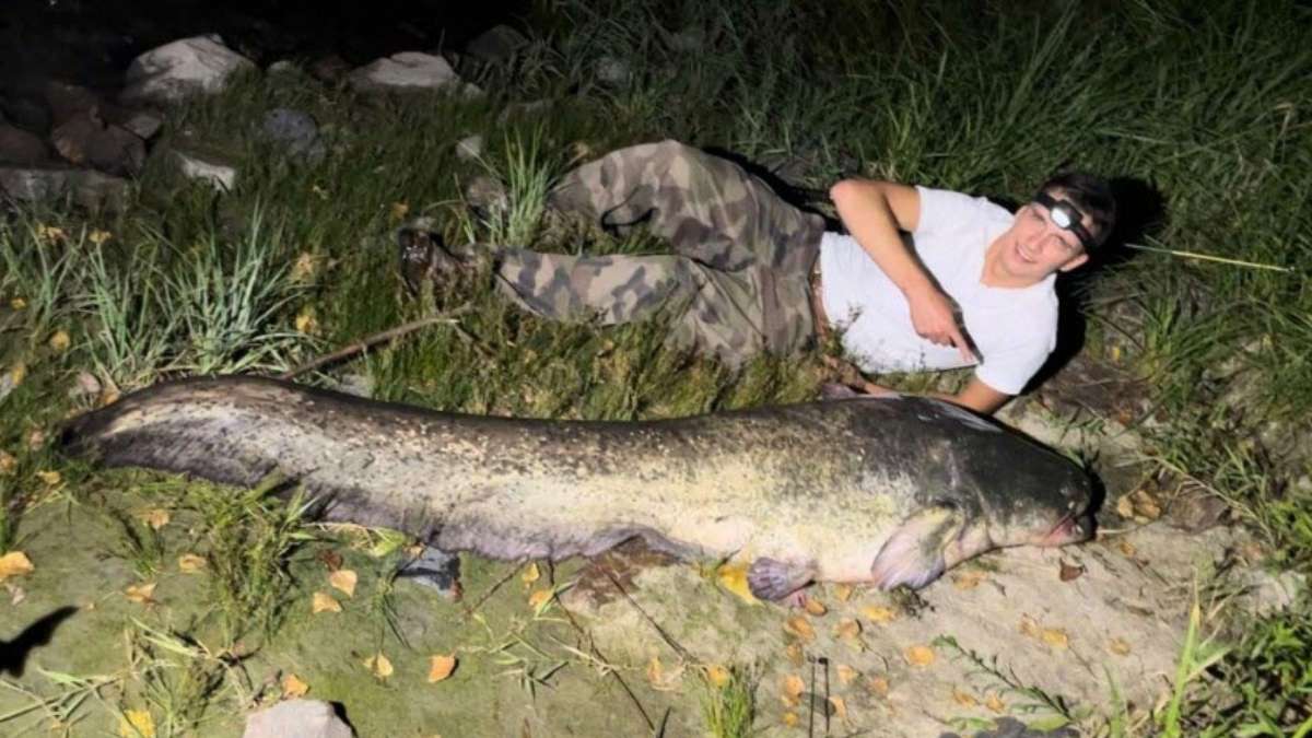 Matthieu, pêcheur lyonnais, pose avec le silure qu'il a remonté