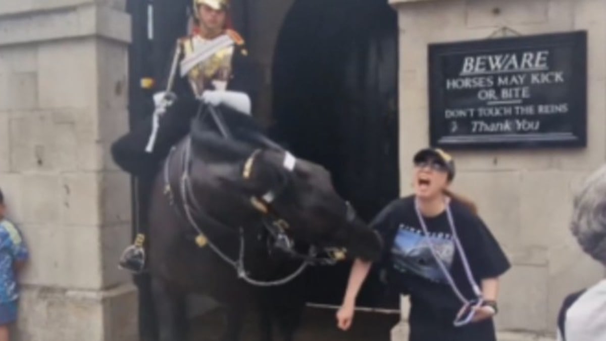 Mordue par un cheval de la garde royale, une touriste s'effondre au sol sous les yeux des passants amusés