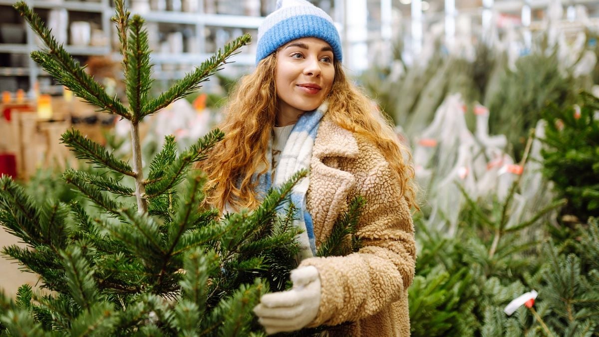 Noël : sapin naturel ou sapin artificiel ? Le plus écologique n'est pas celui que vous croyez