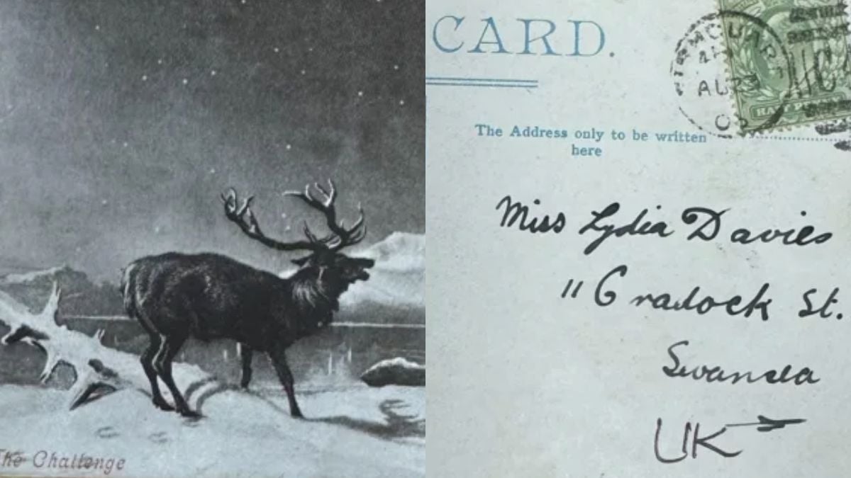 121 ans après avoir été postée, cette carte postale arrive enfin à destination 