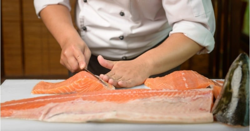 Êtes-vous prêts à manger du poisson sans poisson ? Le poisson artificiel bientôt dans nos assiettes !