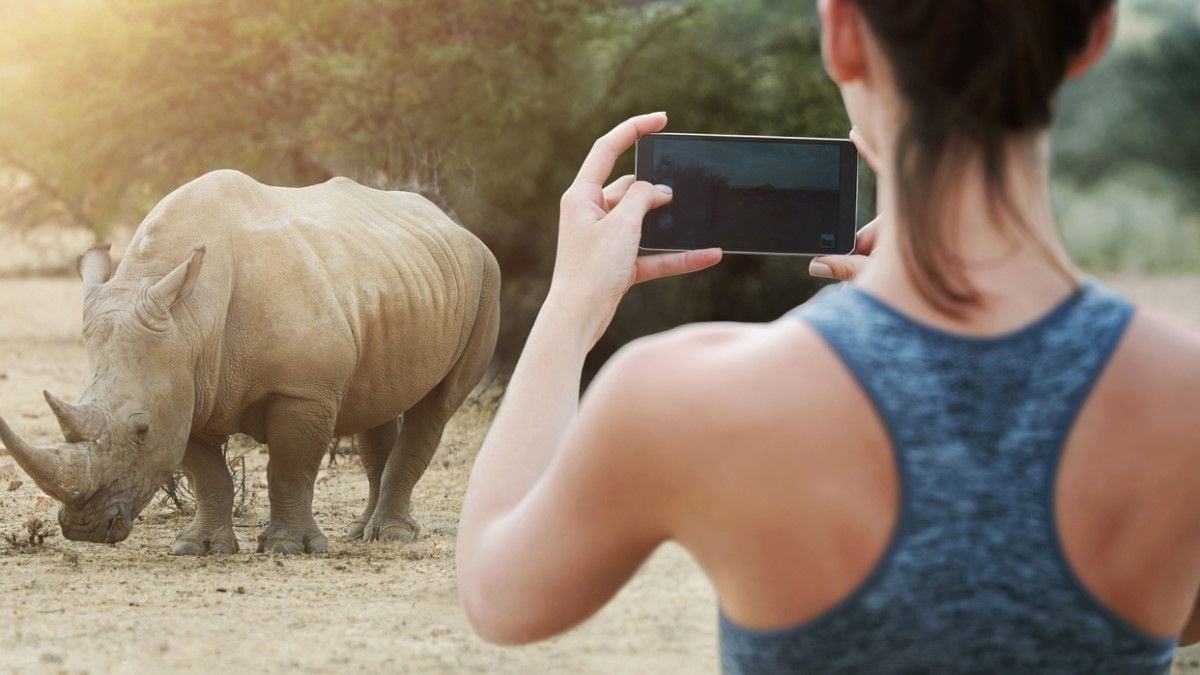 Une femme filme un rhinocéros