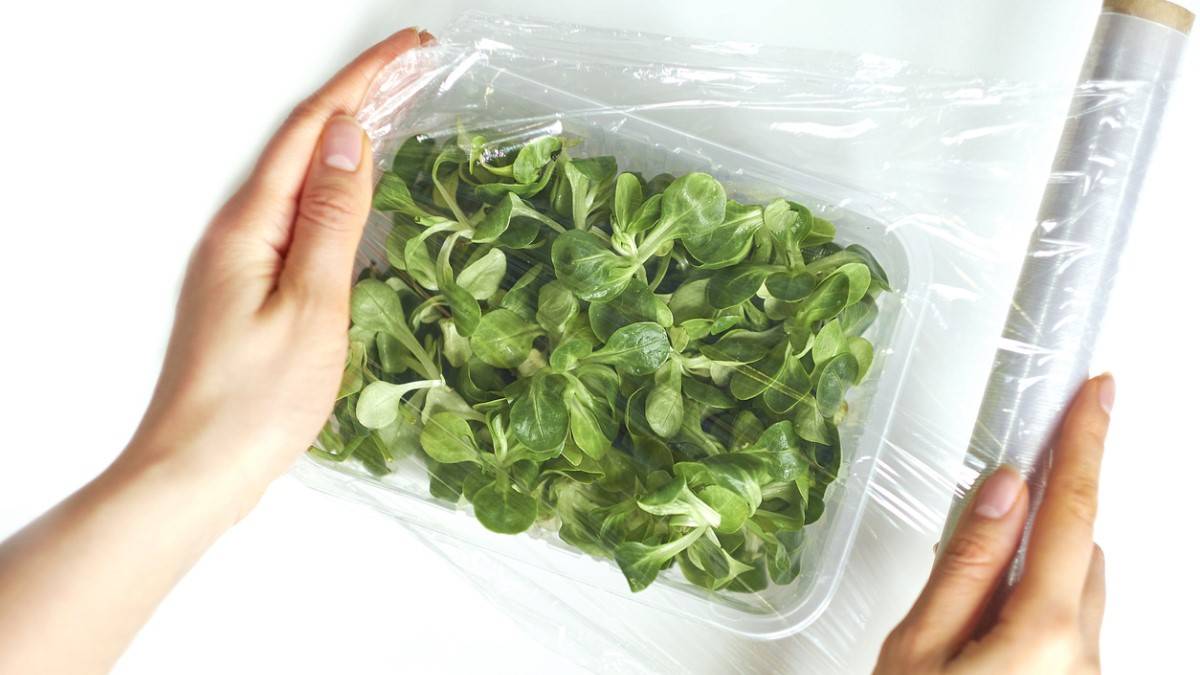 Une salade entourée de film plastique