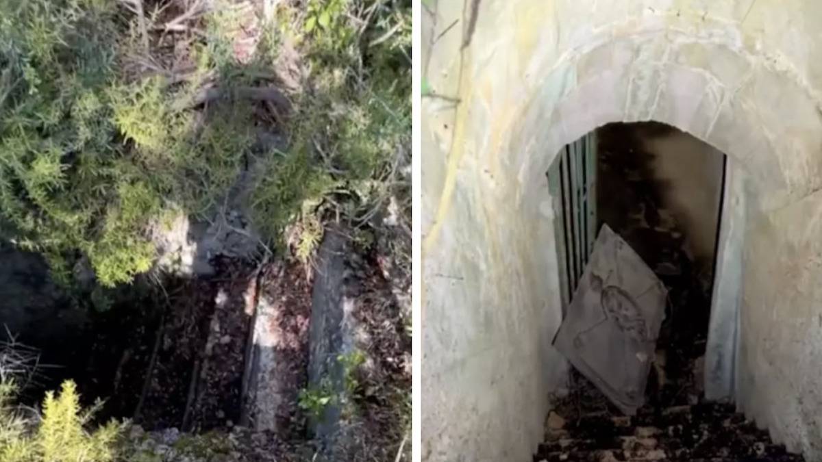 Il fait une découverte effrayante en s'aventurant dans un escalier lugubre caché en pleine forêt