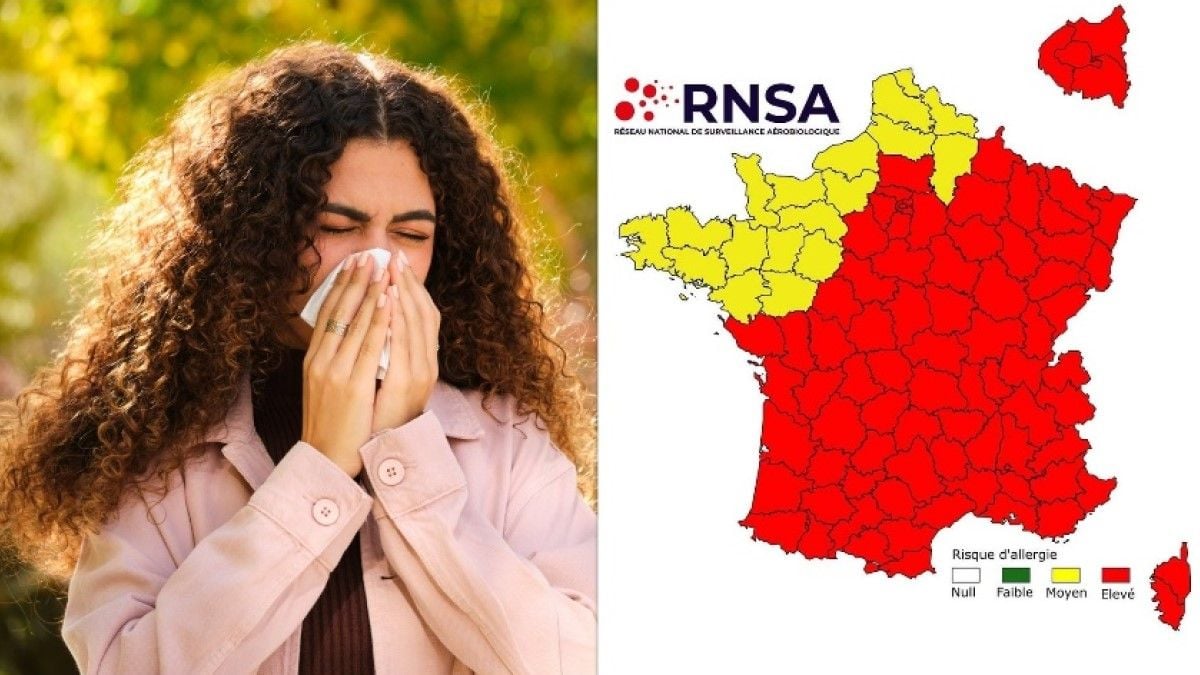 Allergies au pollen : les 3/4 de la France placés en alerte rouge