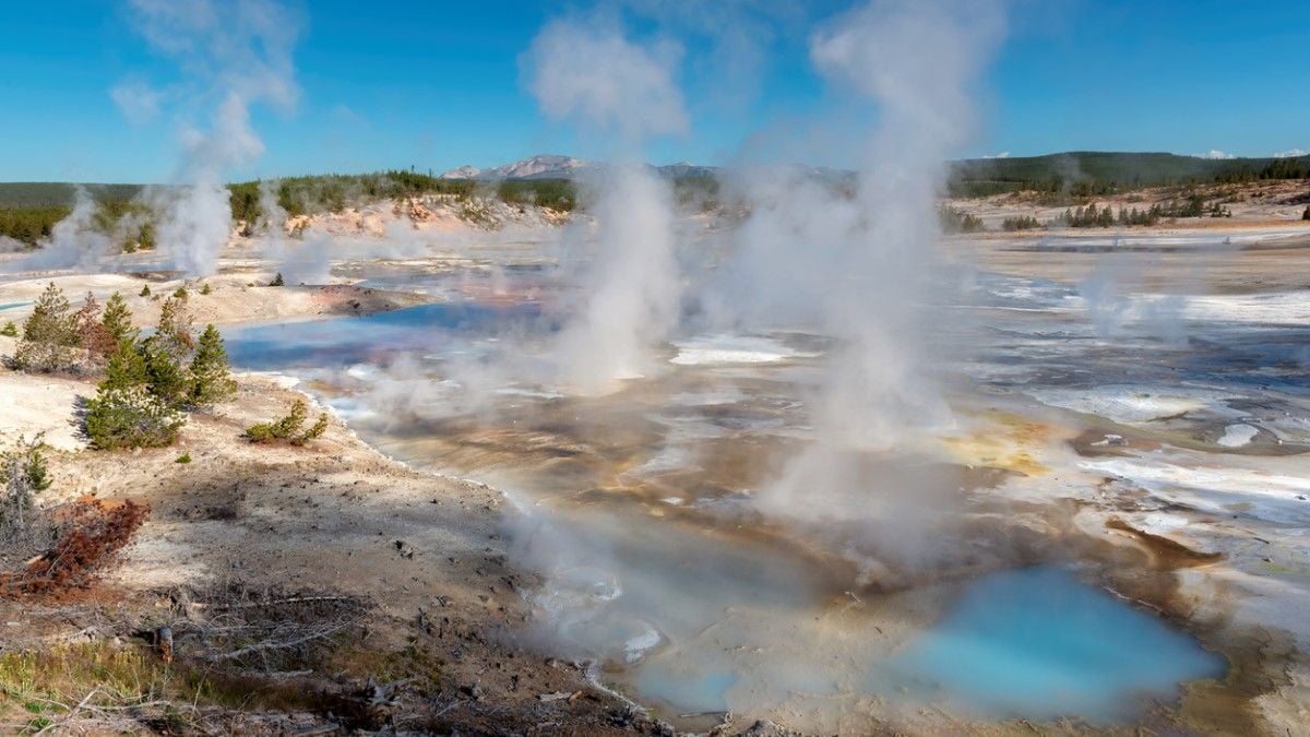 Il tombe dans une source du parc Yellowstone où il voulait se baigner et se fait dissoudre par l'acide bouillant