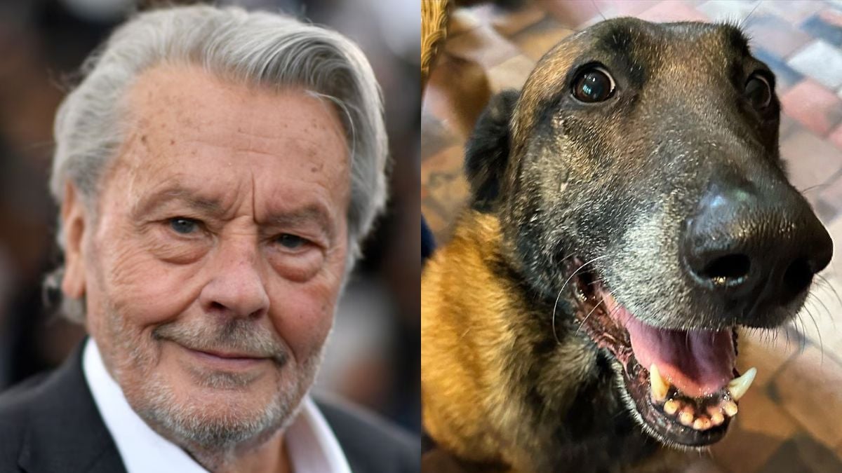 Contrairement aux dernières volontés de l'acteur, le chien d'Alain Delon se sera pas euthanasié