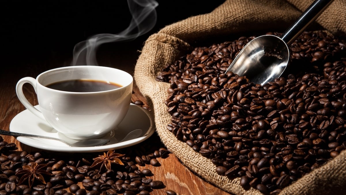  Tout savoir sur le café, la boisson la plus consommée dans le monde !