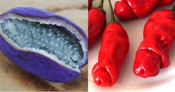 13 fruits totalement insolites qui vont vous faire halluciner par leurs  particularités étonnantes et extraordinaires !