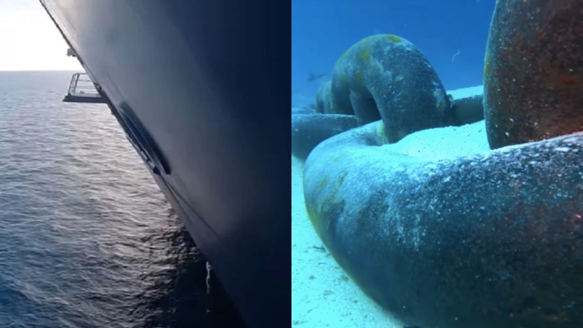 Il jette sa GoPro dans l'eau pour découvrir ce qui se cache sous un paquebot, les images effraient les internautes