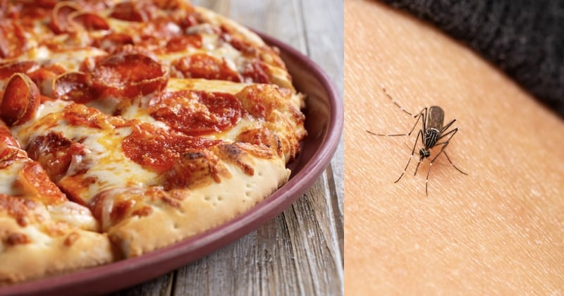 Une pizzeria vient d'inventer la première pizza... anti-moustiques (et elle est comestible)