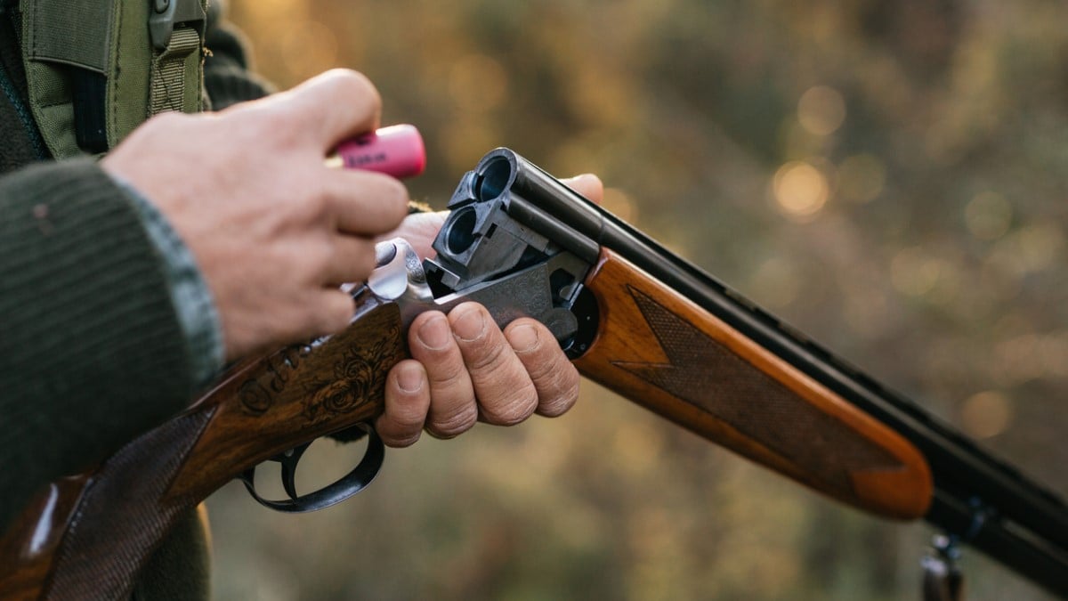 Une femme reçoit une balle en pleine tête alors qu'elle était chez elle, les chasseurs mis en cause