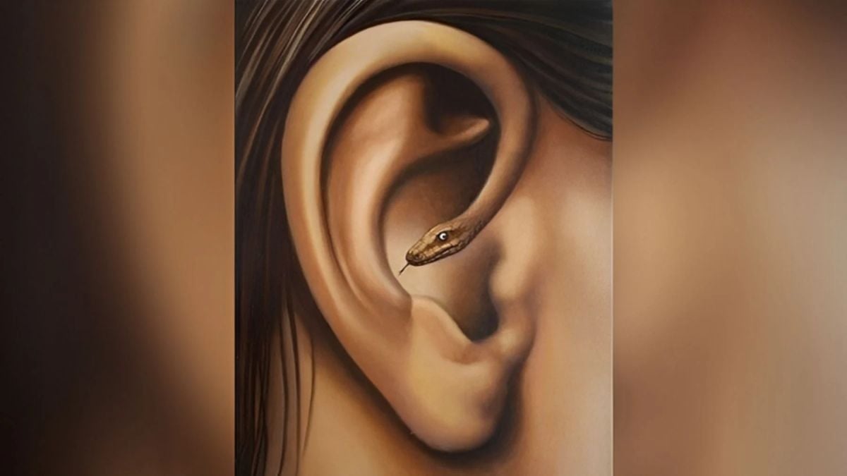 Oreille ou serpent ? La première chose que vous voyez sur cette image en dit long sur votre personnalité