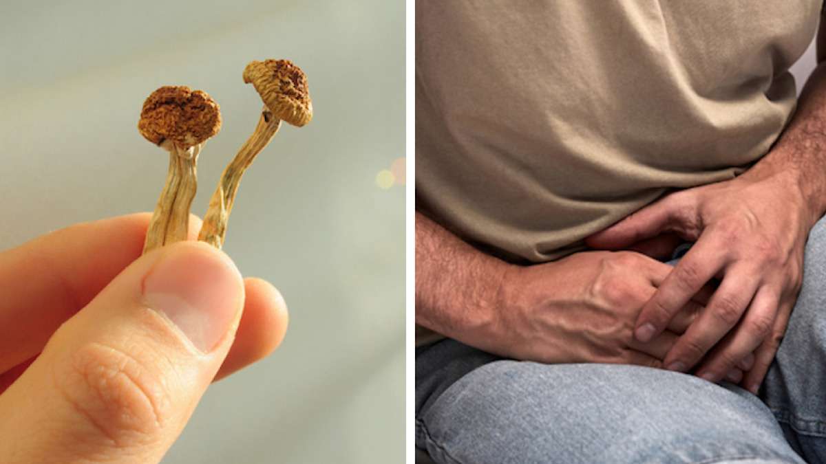 Champignons magiques / Un homme ressentant une douleur au niveau de l’entrejambe 