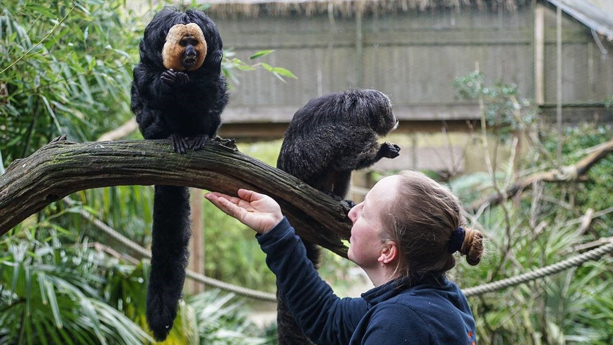 Job de rêve : ce zoo vous propose de devenir soigneur et prendre soin des animaux