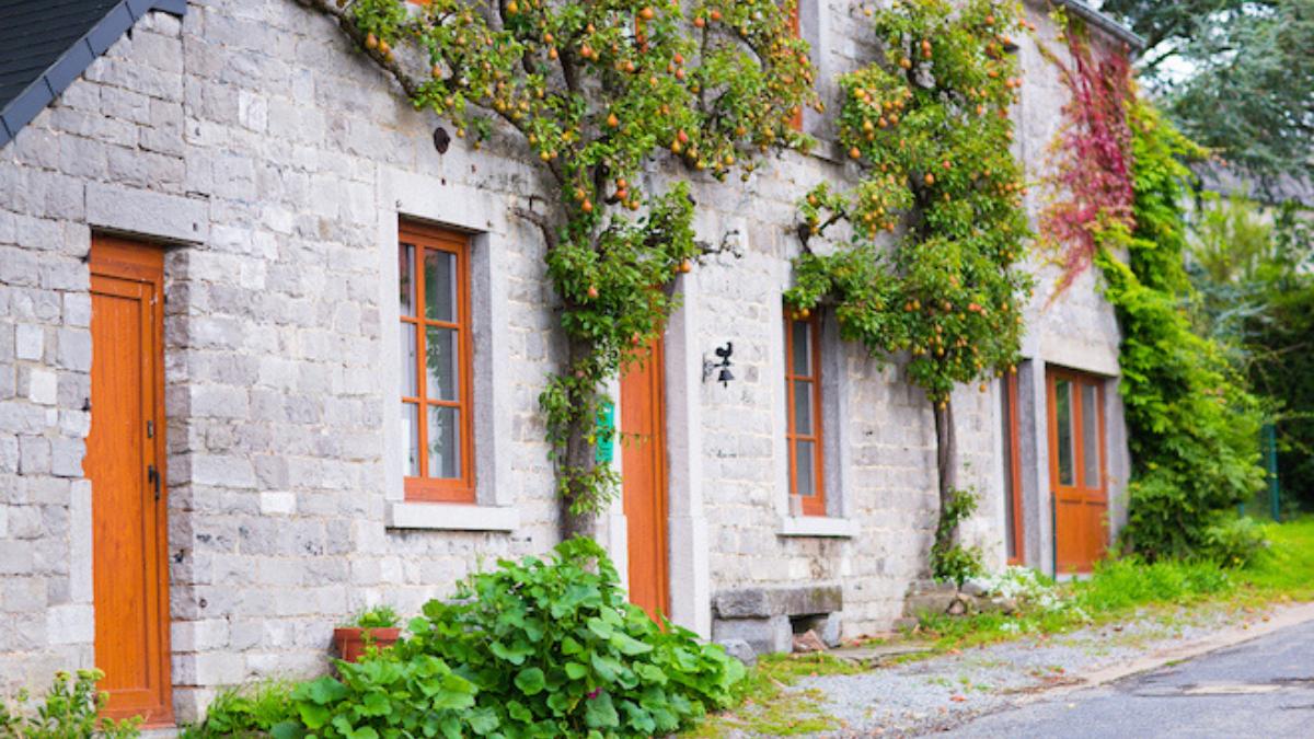 Ils ont fui Paris pour s'acheter une maison, après la pandémie, mais le regrettent aujourd'hui