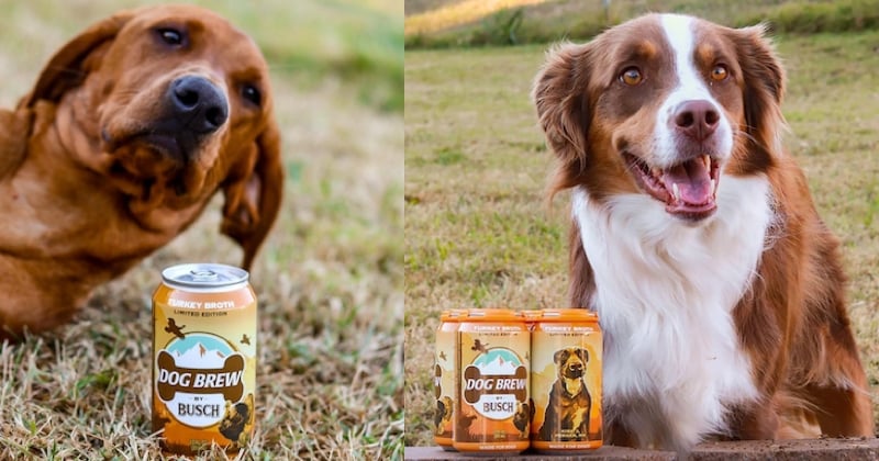 De la bière pour chien ? Oui, ça existe et elle est à la dinde !