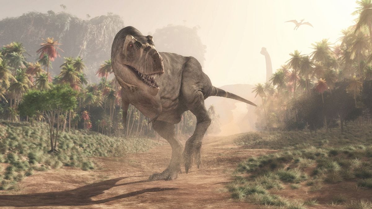 Découverte d'une espèce de dinosaure 5 fois plus grande que le Tyrannosaurus Rex