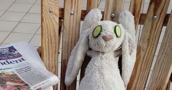 Cet hôtel ne s'est pas contenté de restituer uniquement ce doudou à son propriétaire, il lui a aussi fait des photos « de vacances » géniales