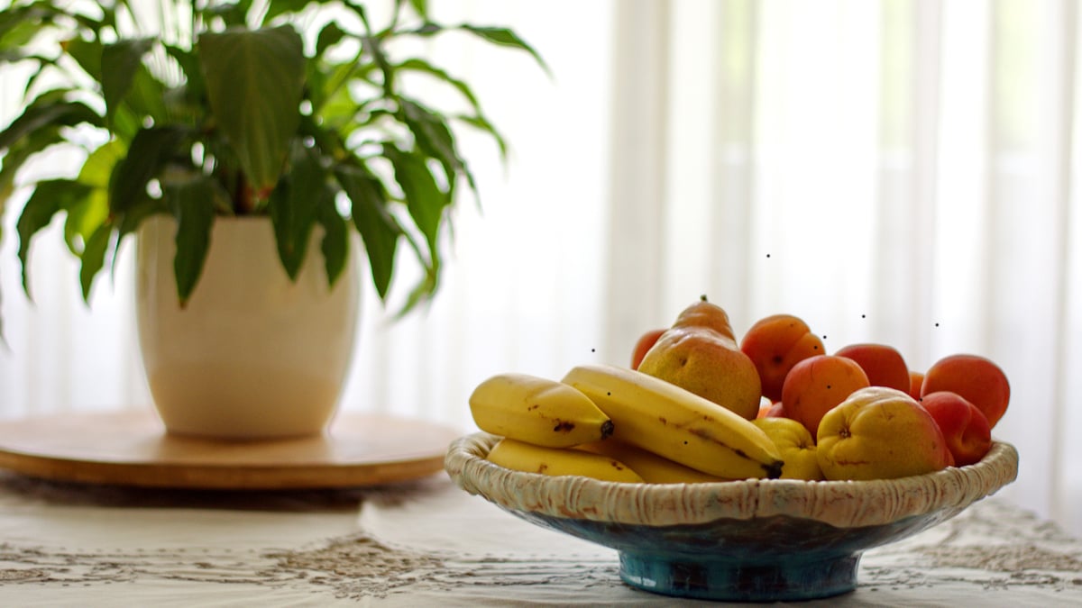 Corbeille de fruits 