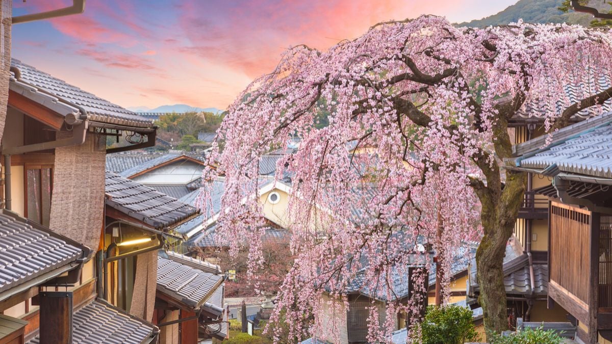 Japon : la ville de Kyoto prend une mesure radicale pour faire fuir les touristes