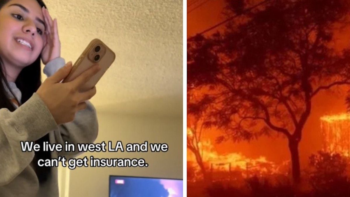 Maisons incendiées à Los Angeles : abandonnés par leur assurance, des milliers d'Américains perdent tout