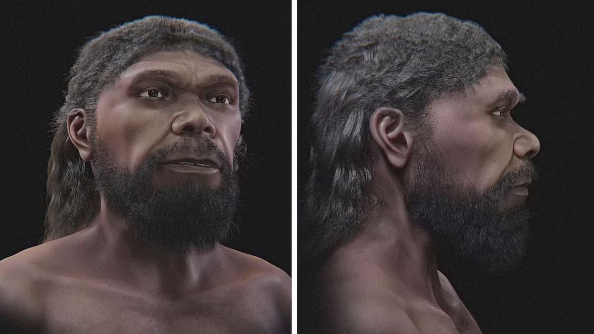 Le visage du premier Homme ayant vécu sur Terre révélé... 300 000 ans après sa mort