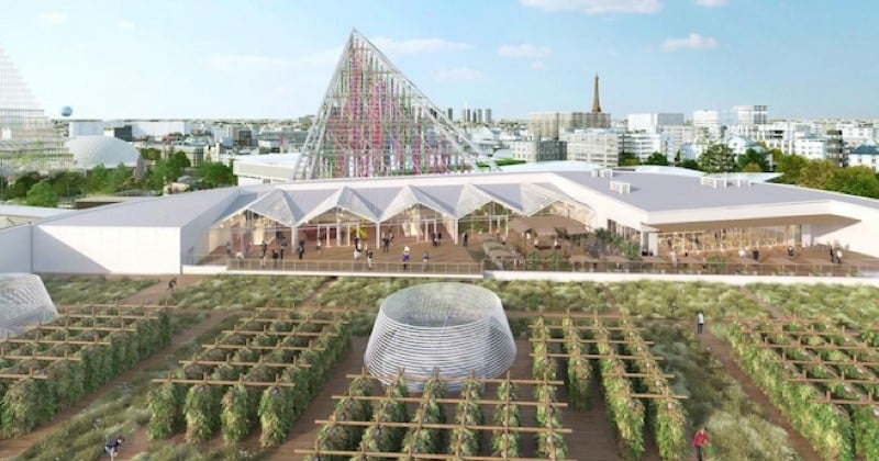 Un rooftop accueillera la plus grande ferme urbaine au monde à Paris !