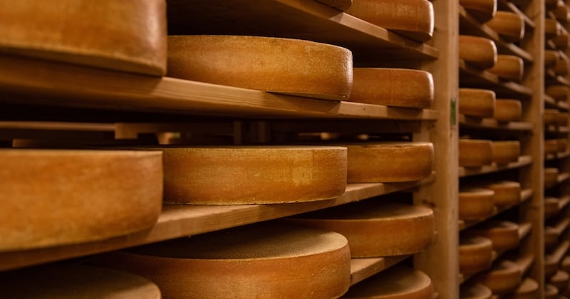 Découvrez le meilleur fromage du monde selon un concours américain !