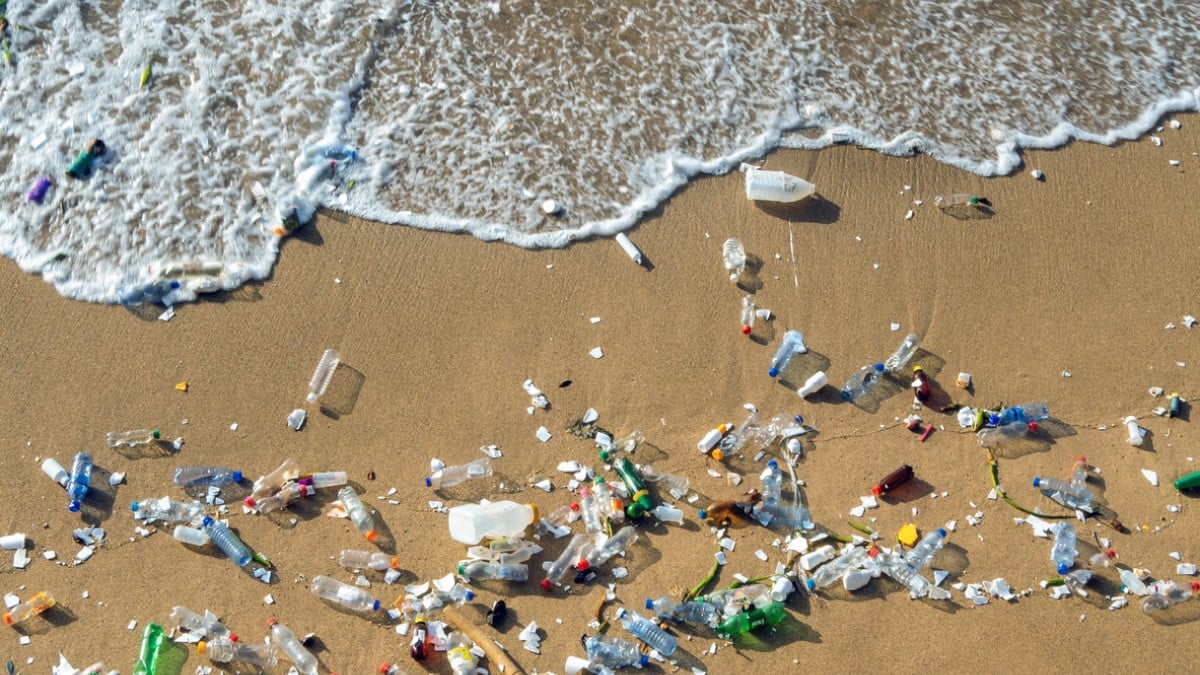 Des déchets plastiques sur une plage