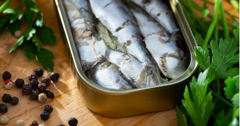 Soyez les bienvenus dans une usine de fabrication de sardines en boîte 