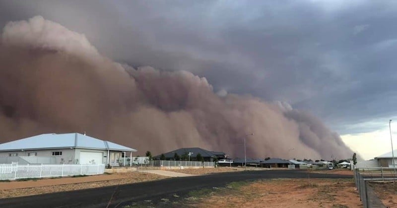 Après les terribles incendies, des averses de grêle et une gigantesque tempête de poussière ont frappé l'Australie