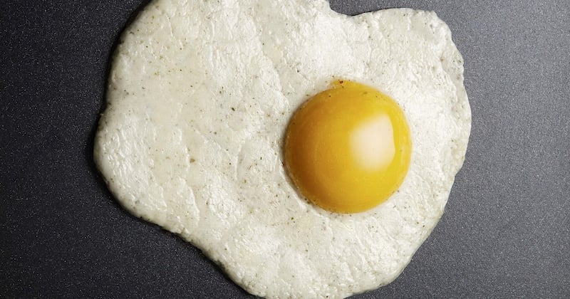 Faire des omelettes sans casser des oeufs ? Oui, c'est possible grâce à cet oeuf vegan inventé par deux Françaises !