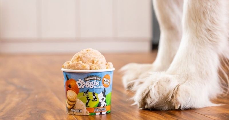 Ben & Jerry's a lancé une gamme de glace pour chien