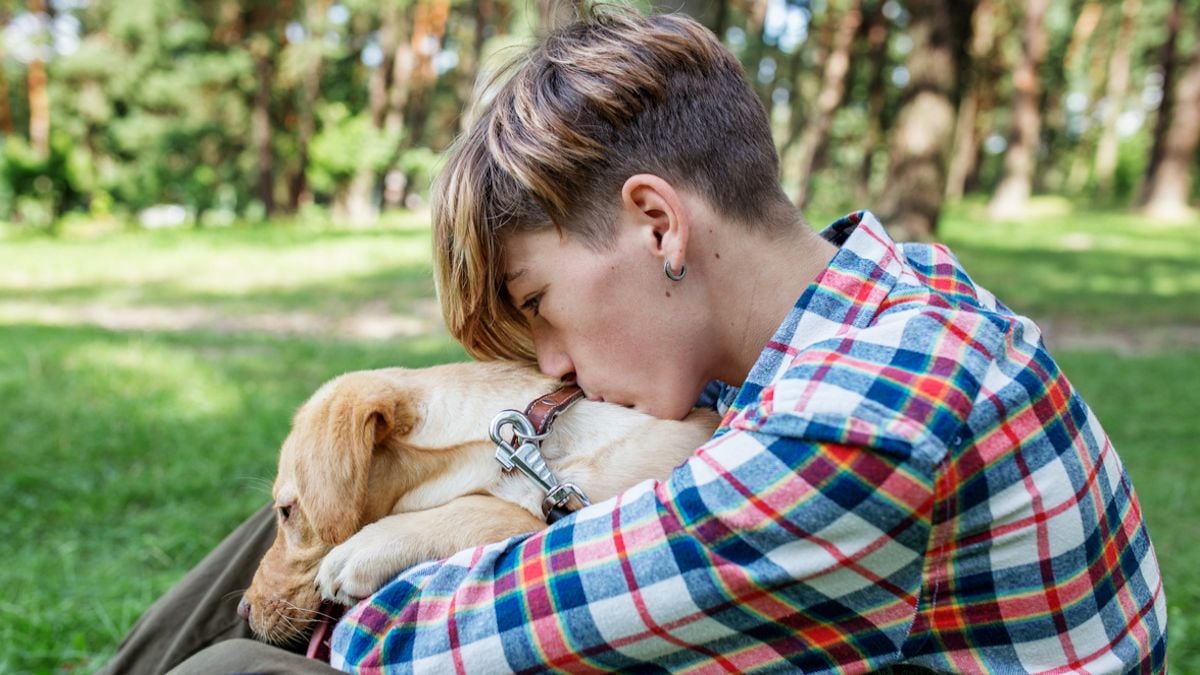 Un adolescent et son chien survivent à l'accident qui a tué ses parents, une cagnotte lancée pour l'aider