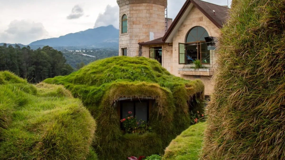 Cette tiny house végétalisée perdue au bout du monde va vous donner envie de repartir en vacances