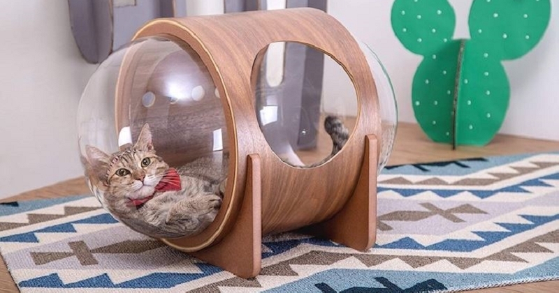 Ces superbes maisonnettes inspirées des capsules spatiales vont ravir vos chats