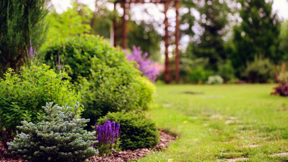 Cette astuce indispensable pour votre jardin va vous changer la vie cet été
