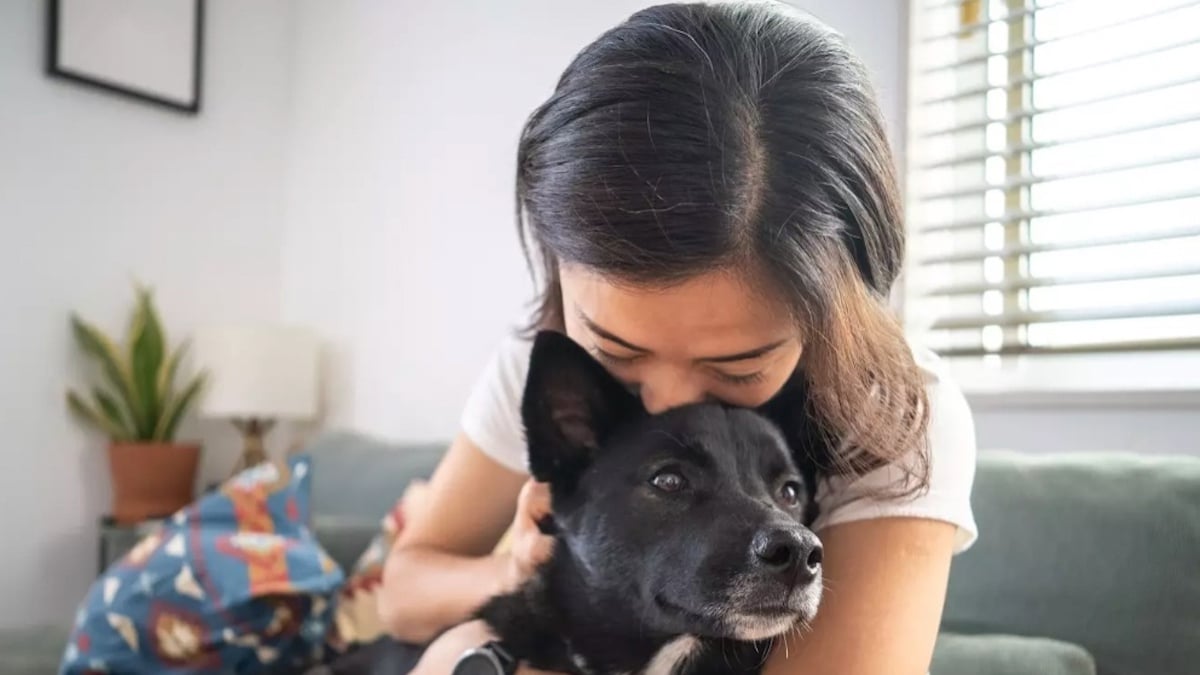 Une femme en train de faire un câlin à son chien 