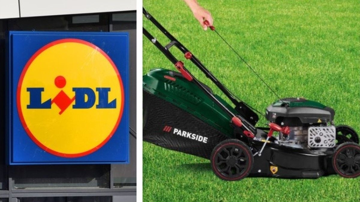 Lidl vend la tondeuse thermique Parkside à -30% aujourd'hui seulement !