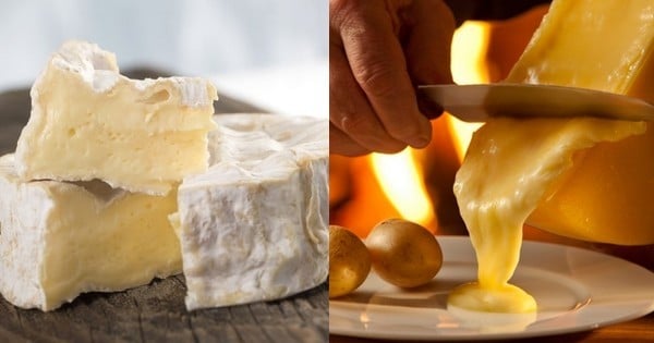 D'après plusieurs études sérieuses, consommer du fromage serait bon pour votre santé 