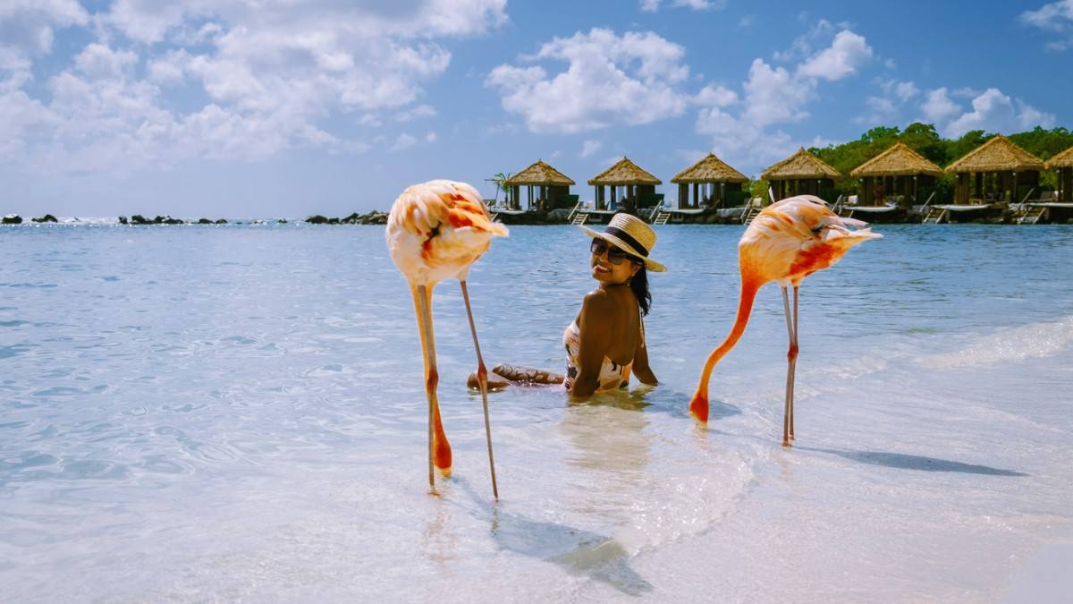 Sur cette île paradisiaque, vous pouvez admirer et nourrir des flamants roses en liberté