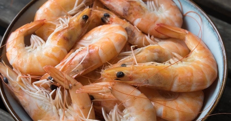 5 choses à savoir avant d'acheter des crevettes