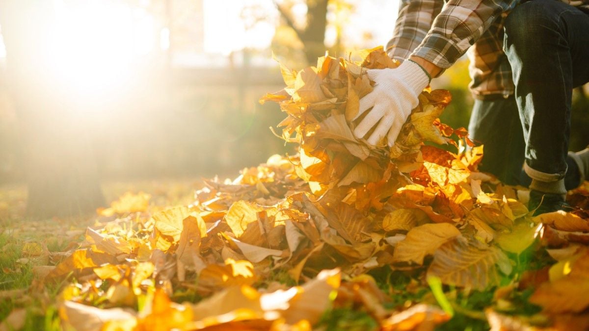 Fini les douleurs au dos, voici l'accessoire indispensable à avoir en automne dans son jardin