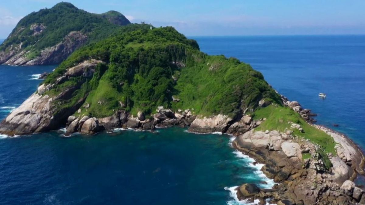 « Vous ne voulez pas y aller » : vous pouvez mourir en quelques minutes sur cette île interdite aux humains