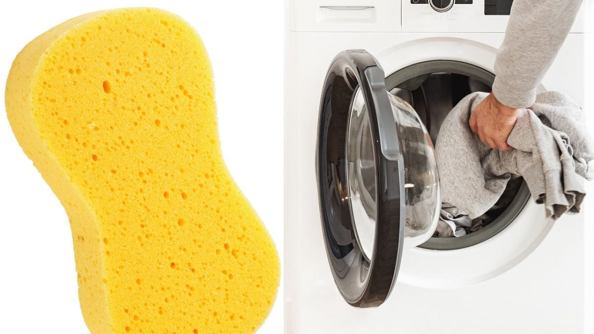 Voici pourquoi vous devriez mettre une éponge dans votre machine à laver le linge